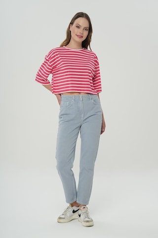 Ariana Gri-mavi Yüksek Bel Patı Fermuarlı Mom Jean Pantolon C 4525-139 Gri