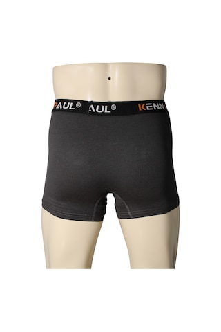 Kenn Paul Erkek Füme Premium Modal Boxer Yumuşak Kumaş Yetişkin Boxer Füme