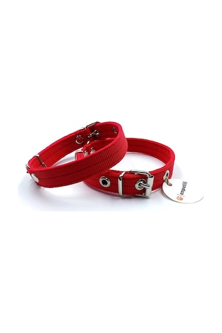 Köpek Tasması Yetişkin Küçük Orta Irk