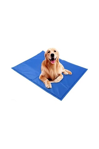 Pawise Serinletici Mat M 50 X 40 Cm