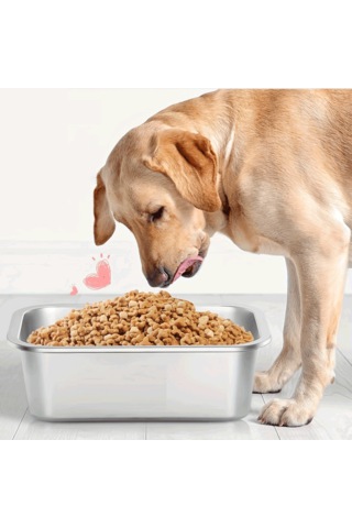 Ecronicword Büyük Paslanmaz Çelik Mama Kabı Büyük Köpek 3790 ML