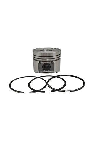 Piston + Segman Seti Std : Hatz / 1d41