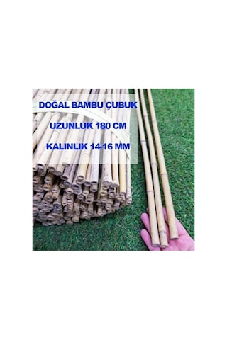 Bambu Bitki Destek Çubuğu 180 Cm, 5 Adet, Sağlam Ve Dayanıklı Bah