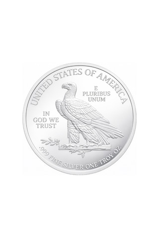 AgaKulche Amerikan Kartalı Gümüş Sikke Coin