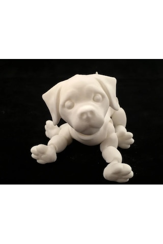 3d Eklemli Yavru Köpek