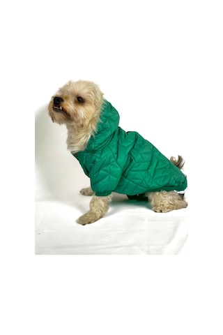 Luxy Green Köpek Montu, Köpek Ceketi, Köpek Dış Giyim