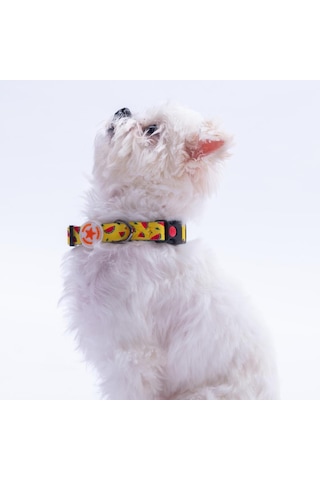 Watermelon Karpuz Desenli Köpek Boyun Tasması Ayarlanabilir Köpek Tasması M Sarı