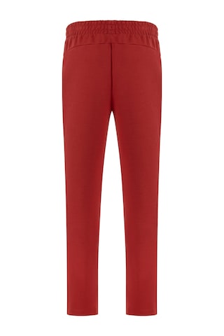 Puma Galatasaray S.k. Eşofman Altı 781216 01 Kırmızı