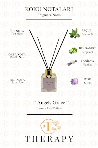 Therapy Smell, Angels Grace - Lüks Çubuklu Oda Kokusu / 120 Ml / Extra Clear Kare Cam Şişe / Metal Altın Kapak Bergamot - Paçuli
