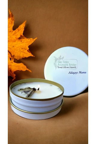 Adaçayı Mum Aromaterapi Mum Şile Tıbbi Aromatik Bitkiler Tarımsal Kalkınma Kooperatifi Adaçayı Mum Bej