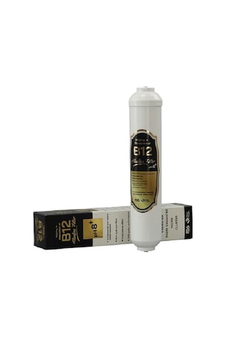 2" B12 Alkalin Filtre Su Arıtma Ph8+