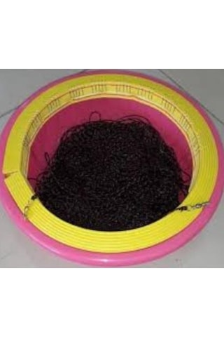 Abalone Hazır Paragat