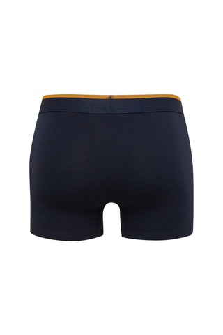 DeFacto Regular Fit Baskılı 3'lü Boxer T4929AZ24AUNV135