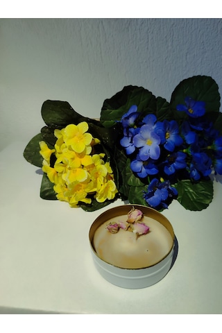 Türk Kahveli Tarçınlı Böcek Savar Kutu Mum