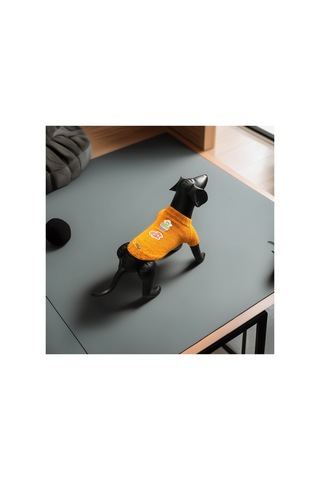 Kedi Ve Köpek İçin Turuncu Cadılar Bayramı Kazağı