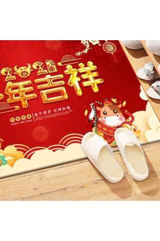 Suntek Dayanıklı Paspas Kaymaz Ayakkabı Kazıyıcı 16x24 Model 6