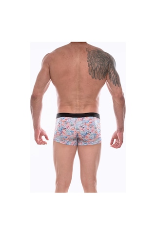Erkek Çok Renkli Fantezi Giyim Desenli Boxer Hf072211
