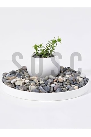 Doğal Nazilli Dere Çakıl Taşı, Tamburlanmış Dekoratif Taş, 1-2 Cm, 1 Kg, Saksı Dibi, Akvaryum Ve Bahçe Düzenleme İçin