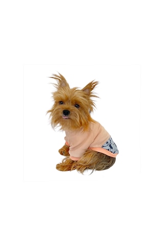 Minnie Pink Sweatshirt Köpek Kıyafeti Köpek Elbisesi