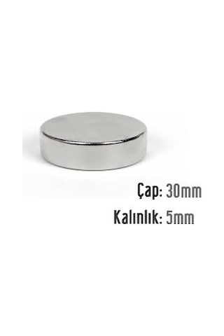 Neodyum Mıknatıs 30x5 Mm 5 Adet