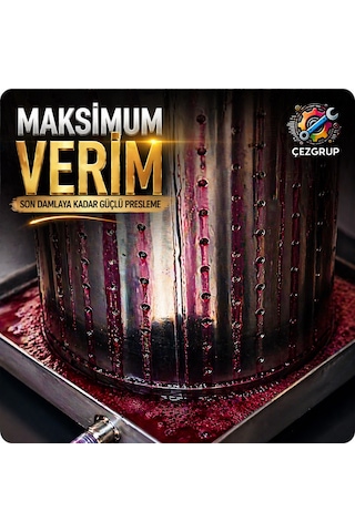 Çezgrup Prestij 22 Litre Full 304 Paslanmaz Çelik Üzüm Sıkma Presi 3 Ton Krikolu Profesyonel Seri