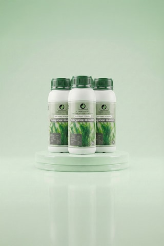 Turquoise Seaweed 1l Sıvı Deniz Yosunu 3'lü Set 1000 Turquoise Seaweed 1l Sıvı Deniz Yosunu 3'lü Set 1000