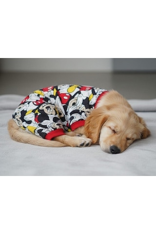Miniş Mikili Kırmızılı Küçük Irk Köpek Esnek Sweatshirt Penye Tulum Pijama -21597