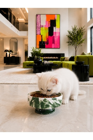 Mama Kabı Kedi Ve Köpek 1 Adet Doğal Mama Veya Su Kabı Yeşil Marble
