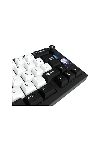 Hawk Hk540 Mekanik Prelubed Switch Rgb Tri-mode Ckckhwk0030