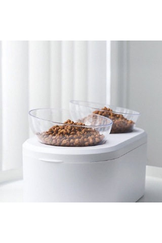 Sones Şeffaf Hayvan Kasesi Tahıl Depolama Tipi Boyun Koruyucu Eğik Çiftli Kase