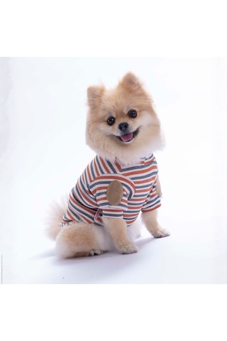 Kiremit Marseille Softline Çizgili Kedi Köpek Sweati Köpek Kıyafeti Kedi Kıyafeti