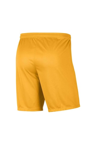 Nike Park III Erkek Spor Şort BV6855-739