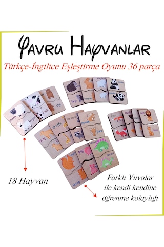 Anne Ve Yavru Hayvanlar Eşleştirme Türkçe-ingilizce