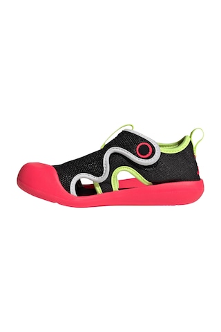 Adidas Altaventure 3.0 Çocuk Sandalet Js2544 Çok Renkli