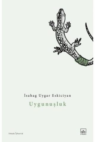 Aşağıdan Seveceğim Ülkeyi + Uygunuşluk
