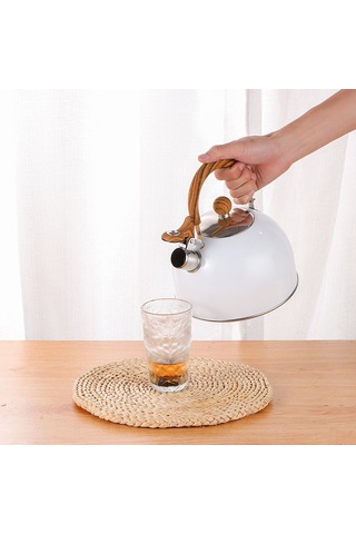 Hangfox 2.5 Litre Çelik Çalıcı Kettle: Kalın Tabaka, Gaz Ve Indüksiyon Uyumlu, Evde Pratik Su Kaynatma Aleti Beyaz