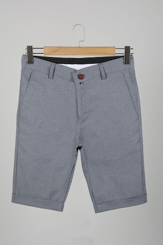 Terapi Men Erkek Gri Slim Fit Keten Şort Gri
