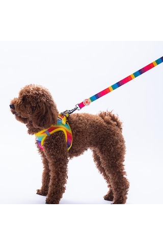 Rainbow Leash Gökkuşağı Desenli Kedi Köpek Sevk & Gezdirme Kayışı Köpek Uzatma Tasması Çok Renkli