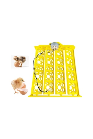 Pazly Yumurta Tavuk Suntek Kuluçka Kaz Için Dc12v Bıldırcın Qz