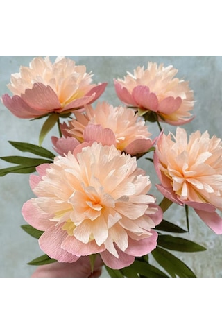 İtalyan Krapon Kağıdı No:205, Çiçek, Dıy, El İşi Kağıdı, 60 Gr - 50x250cm, Pastel Pembe