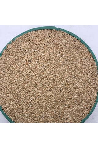 Vivid Kanarya Kuş Yemi Sade Aspur 10 KG