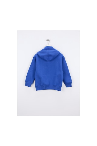 Gap Esofayanust V-fa Fash Logo Po 795172001 Royal Geay