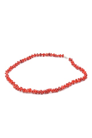 Choker Model Doğal Dal Kırmızı Mercan Kolye Kırmızı
