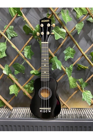 54 Cm Soprano Siyah Ukulele Kılıf Ve Pena Dahil