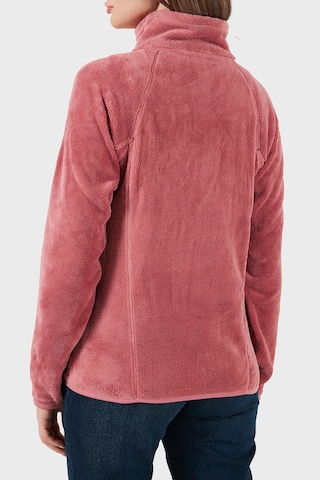 Norway Geographical Bayan Polar Upalıneb Pembe Pembe