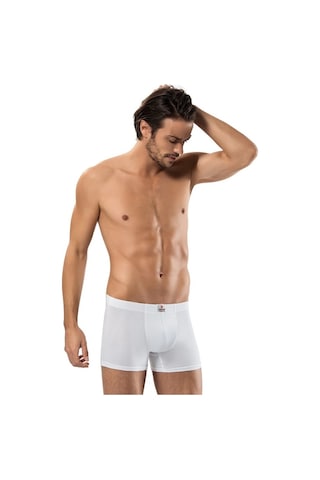 Erdem Erkek Boxer Pamuk Elastan 1420
