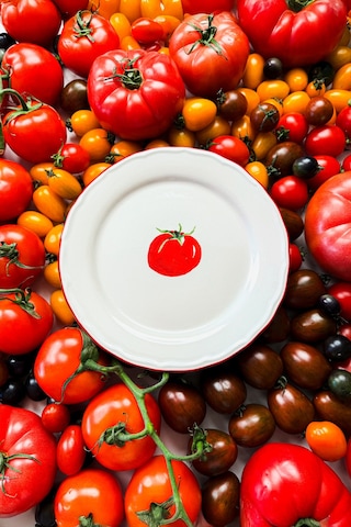 Rakle x Bengi Kurtcebe Pomodoro Stoneware 4'lü Pasta Tabağı Seti 21 cm