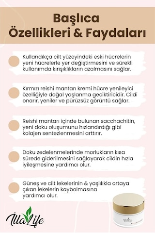 İlla Life Reishi Mantarı Özlü Yaşlanma ve Kırışıklık Karşıtı Cilt Bakım Kremi 50 ML