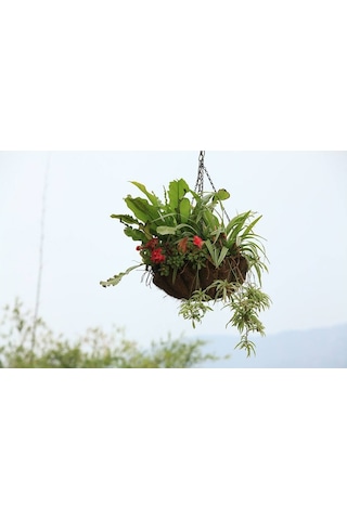 Gardener Ko-Ko Zincir Askılı Sepet Çap 30 CM