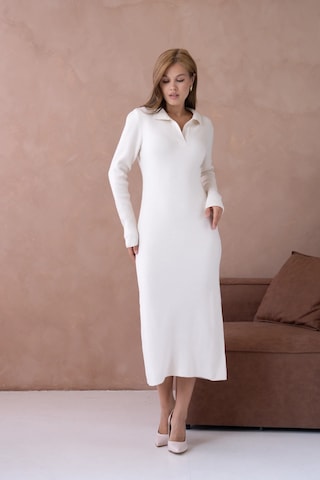 Kadın Polo Yaka Yamuşak Dokulu Maksi Boy Triko Elbise Taş